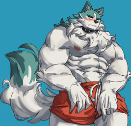 abs anthro barazoku biceps big_muscles blue_background blush bottomwear clothed clothing collar frown fur huge_muscles male muscular muscular_anthro muscular_male navel nipples obliques pecs shorts simple_background solo standing topless topless_anthro topless_male tuft teseirei brand_new_animal studio_trigger shirou_ogami canid canine canis mammal wolf 2022 hi_res