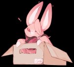 alpha_channel ambiguous_gender aster_(nu:_carnival) bat big_ears box cardboard cardboard_box chibi claws container exclamation_point feral hair hair_over_eye in_box in_container kemono loyaldis male_(lore) mammal neck_bow nu:_carnival one_eye_obstructed pink_nose red_eyes solo text wing_claws wings
