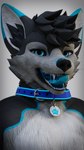anthro blue_collar blue_eyes blue_markings blue_mouth blue_nose blue_pawpads bodily_fluids collar dripping fur grey_body grey_fur grey_hair hair licking licking_lips looking_at_viewer male markings mouth_shot open_mouth pawpads saliva simple_background teeth tongue tongue_out vrchat_model white_background white_body white_fur azurepuppy canid canine canis domestic_dog husky mammal nordic_sled_dog spitz wolf 3d_(artwork) 9:16 blender_(artwork) digital_media_(artwork) hi_res