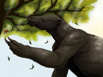 ambiguous_gender falling_leaves feral grey_body grey_skin nature outside plant quadruped sky solo tree white_sky agustindiazart ambient_bird eremotherium giant_ground_sloth ground_sloth mammal pilosan prehistoric_species sloth xenarthran 2022 4:3 hi_res