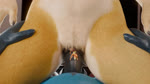 16:9 2023 3d_(artwork) 3d_animation anal anal_vore animal_genitalia animal_penis animal_pussy animated anthro anus balls breasts butt canadian1579 canid canine canine_genitalia canine_pussy canis cowgirl_position digital_media_(artwork) domestic_dog duo equid equine equine_genitalia equine_penis erection female female_penetrated from_front_position fur genitals group hair herding_dog hi_res high_framerate horse huge_filesize looking_pleasured macro male male/female male_penetrating male_penetrating_female mammal max_(canadian1579) micro mouse murid murine nipples no_sound noctis nude nyterious_(character) on_bottom on_top pastoral_dog patch_(espinthor1) penetration penile penis pussy ricky_(hugelazypanda) rodent sandy_(canadian1579) sex short_playtime size_difference unbirth_while_penetrated unbirthing untied_verbeger vaginal vaginal_penetration vore webm welsh_corgi widescreen wolf