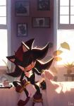 ambiguous_gender anthro bed clothing detailed_background duo feral footwear furniture gloves handwear male photo plant red_eyes white_clothing white_gloves white_handwear window uno_yuuji sega sonic_the_hedgehog_(series) shadow_the_hedgehog eulipotyphlan hedgehog mammal 2019 hi_res signature