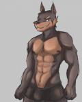 anthro blue_eyes bulge clothed clothing fur hair looking_at_viewer male muscular muscular_anthro muscular_male nude simple_background smile solo underwear shirokoi repeat_(visual_novel) samuel_(repeat) canid canine canis dobermann domestic_dog mammal pinscher 2017 4:5 hi_res