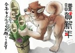 2017 anthro artist_name bamboo brown_body brown_fur canid canine canis chinese_zodiac countershading digital_media_(artwork) domestic_dog fangs fur geppei5959 grey_nose hi_res holidays inner_ear_fluff japanese_text kemono leaning leaning_forward male mammal new_year nude plant red_eyes shadow shiba_inu simple_background smile solo spitz tan_body tan_countershading tan_fur tan_inner_ear tan_inner_ear_fluff teeth text tuft white_background year_of_the_dog