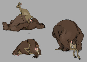 balls bodily_fluids cloven_hooves cum duo female feral feral_on_feral forced from_behind_position from_front_position genital_fluids genitals hooves larger_feral larger_male male male/female penetration predator/prey predator_penetrating_prey rape sex size_difference smaller_female smaller_feral underhoof vulva jeffusherb binocular_doe bear deer mammal sketch
