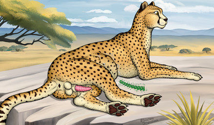 anus balls belly big_belly black_nose black_paws black_spots brown_eyes duo feral feral_pred feral_prey genitals lying male male_pred on_side orange_body orange_legs penis pink_penis plant rock rumbling_stomach savanna spots tree vore dragonczech cheetah felid feline mammal 2026 hi_res