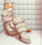 anthro bound fullbody_straitjacket fur legs_tied male muzzle_(object) muzzled orange_body orange_fur padded_room restrained restraints solo straitjacket striped_body stripes tommysamash beastars bill_(beastars) bengal_tiger felid mammal pantherine tiger hi_res