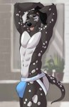 abs anthro athletic athletic_anthro athletic_male bedroom_eyes black_body black_fur black_pawpads blurred_background bulge clothing eye_spots fangs fur half-closed_eyes jockstrap male markings muscle_tone narrowed_eyes open_mouth open_smile pawpads paws pecs seductive simple_background smile solo spots spotted_body spotted_fur spotted_markings teeth tongue tongue_out underwear white_body white_fur white_spots karmen16 pupnacious canid canine canis domestic_dog mammal hi_res