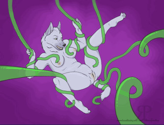 anthro belly belly_expansion blush bodily_fluids breasts bulge cum egg egg_insertion excessive_cum excessive_genital_fluids expansion eyes_closed female forced genital_fluids genitals goo_tentacles inflation oviposition ovipositor sex solo tentacles translucent translucent_tentacles vulva rotsuoy_wolfen canid canine canis mammal wolf animated
