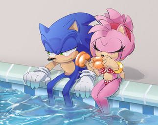 anthro bikini black_nose clothing duo embarrassed female green_eyes hair humor inflatable inflatable_armbands male narrow_hips pink_hair pool_float short_hair swimwear thick_thighs thin_calves thin_legs thin_thighs two-piece_swimsuit water wide_hips shyne_(artist) sega sonic_the_hedgehog_(series) amy_rose sonic_the_hedgehog eulipotyphlan hedgehog mammal hi_res