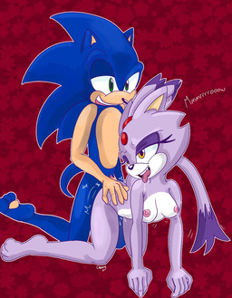 anthro bodily_fluids breasts doggystyle drooling duo fangs female from_behind_position genitals hand_on_butt hero male male/female meow motion_lines nude on_kness pawpads penis princess rear_view royalty saliva sex small_breasts smile teeth chinry sega sonic_the_hedgehog_(series) blaze_the_cat sonic_the_hedgehog domestic_cat eulipotyphlan felid feline felis hedgehog mammal hi_res