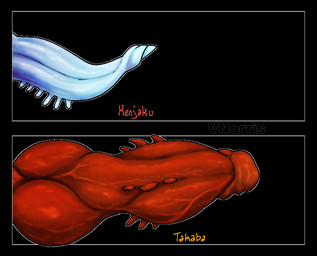 ambiguous_form black_background blue_penis chart curved_penis duo genitals knot knotted_penis male orange_text penis penis_chart red_penis red_text ridged_penis simple_background spiked_penis spikes spikes_(anatomy) text vein veiny_knot veiny_penis puppetmaster13uwu mythology kenjaku_(jujustsu_kaisen) takaba_fumihiko_(jujutsu_kaisen) ambiguous_species dragon mythological_creature mythological_scalie scalie english_text