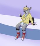 absurd_res abuniverse ageplay anthro chuck_taylor_all_stars clean_diaper clothed clothing converse converse_shoes diaper footwear hi_res hoodie infantilism legwear looking_at_viewer male pacifier pacifier_clip plantigrade preschool_(abuniverse) preschool_(diaper) roleplay scuzzy_(scuzzyfox) scuzzyfox shoes sitting sneakers socks solo topwear wearing_diaper