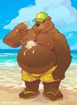 anthro beach belly big_belly brown_body clothing cloud dessert food footwear hat headgear headwear humanoid_hands ice_cream ice_cream_cone male moobs nipples outside overweight overweight_anthro overweight_male sandals seaside shoes solo swimming_trunks swimwear water gentil_lezard bear mammal 2023