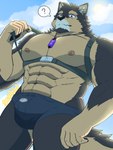 abs anthro brown_body brown_fur bulge clothing countershading crystal fur harness jewelry male muscular muscular_anthro muscular_male necklace nipples pecs question_mark solo speedo swimwear mallards1305 lifewonders live_a_hero pubraseer canid canine canis domestic_dog mammal 3:4 hi_res