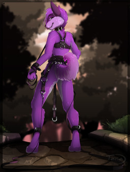 ambiguous_gender anthro biped black_collar black_leash butt collar collar_only detailed_background fur grass hair harness harness_only leash lips lock looking_at_viewer looking_back looking_back_at_viewer male nude outside padlocked_collar pink_body pink_fur plant pose purple_body purple_eyes purple_fur purple_hair seductive short_hair smile solo standing thick_lips tanathy pkay canid canine canis domestic_dog husky mammal nordic_sled_dog spitz 2013