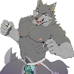 abs amber_eyes anthro biceps brown_nose bulge chest_tuft claws clothed clothing detailed_bulge ear_piercing ear_ring fangs finger_claws fluffy fluffy_tail fur genital_outline grey_body grey_fur jockstrap jockstrap_only kemono looking_at_viewer male multicolored_body multicolored_fur muscular muscular_anthro muscular_male nipples pecs penis_outline piercing pointy_ears pubes ring_piercing simple_background solo tail teeth topless tuft two_tone_body two_tone_fur underwear underwear_only peapeafur canid canine canis mammal wolf 1:1 hi_res