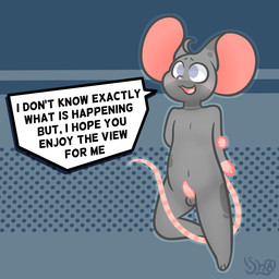 anthro balls belly dialogue fur genitals grey_body grey_eyes grey_fur male mouse_tail pattern_background penis simple_background small_nose small_penis solo speech_bubble text shountar nimbus_(shountar) mammal mouse murid murine rodent 1:1 english_text