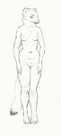 anthro breasts female front_view genitals navel nipples nude pussy slim small_breasts small_waist solo standing tail cettus maren_sommer mammal mustelid musteline stoat true_musteline weasel 2020 hi_res sketch