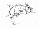 2016 4:3 animated anthro anthro_on_feral anthro_penetrated ball_slap bedroom_sex bestiality canid canine canis deep_penetration domestic_dog duo female feral feral_penetrating feral_penetrating_anthro fox from_front_position great_dane internal interspecies knot knot_fucking looking_pleasured lying male male/female mammal mastiff molosser on_back penetration platform_missionary_position quadropes rough_sex sex short_playtime sketch slap