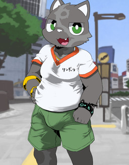 anthro bottomwear bracelet bulge clothing detailed_bulge fur genital_outline green_bottomwear green_clothing green_eyes green_shorts grey_body grey_fur jewelry looking_at_viewer male outside penis_outline shirt shorts solo text topwear white_clothing white_shirt white_topwear moesouna_gomi ringula domestic_cat felid feline felis mammal 2026 hi_res japanese_description japanese_text