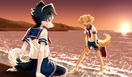 amber_eyes anthro barefoot beach black_body black_fur black_nose bottomwear clothed clothing discarded_footwear duo feet floppy_ears fluffy fluffy_tail folded_ears footwear fur kemono kerchief male outside red_kerchief sailor_uniform school_uniform shorts slim slim_anthro slim_male sunset tail uniform water white_body white_fur young young_anthro young_male netiel bird_dog border_collie canid canine canis collie domestic_dog golden_retriever herding_dog hunting_dog mammal pastoral_dog retriever sheepdog