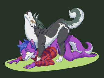 all_fours anal anal_penetration anthro anthro_on_feral anthro_penetrated bestiality blue_hair bodily_fluids bottomless brown_markings clothed clothing countershade_face countershade_tail countershading duo feral feral_penetrating feral_penetrating_anthro from_behind_position fur genitals green_background grey_body grey_fur hair head_back humanoid_genitalia humanoid_penis looking_pleasured male male/male male_penetrated male_penetrating male_penetrating_male markings mounting multicolored_body multicolored_fur pattern_clothing pattern_sweater pattern_topwear pawpads penetration penis purple_body purple_fur purple_pawpads purple_penis raised_head sex simple_background striped_clothing striped_sweater striped_topwear stripes sweat sweater tail thrusting topwear two_tone_body two_tone_fur white_body white_countershading yellow_eyes pata nintendo the_legend_of_zelda link_(wolf_form) canid canine canis mammal wolf 2020 4:3 aliasing digital_media_(artwork) full-length_portrait hi_res portrait