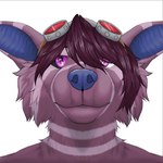 anthro blue_mouth blue_tongue bodily_fluids drooling fur hikaratu looking_at_viewer male mouth_shot open_mouth pink_eyes purple_body purple_eyes purple_fur saliva saliva_on_tongue saliva_string solo teeth throat tongue tongue_out vore demosfen canid canine canis crux mammal wolf animated hi_res