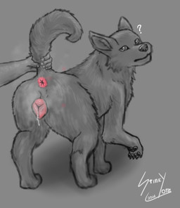 animal_genitalia animal_vulva anus bestiality bodily_fluids butt butt_grab canine_genitalia canine_vulva confusion digitigrade dripping_vulva dripping_wet female feral genital_fluids genitals hand_on_butt human_on_feral interspecies musk musky_anus musky_vulva pawpads paws pink_anus precum presenting quadruped question_mark raised_tail rear_view tail tail_grab vulva dogface canid canine canis domestic_dog human mammal hi_res