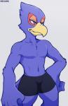 abs anthro beak boxers_(clothing) bulge clothed clothing green_eyes male muscular muscular_anthro muscular_male simple_background solo topless underwear kemo_nuko nintendo star_fox falco_lombardi avian bird falcon falconid 2019 digital_media_(artwork)