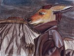 anthro clothed clothing cloud cloudy_sky coat colorado fully_clothed fur jacket landscape leather leather_clothing male mountain narrowed_eyes orange_body orange_fur outside sky solo squint standing topwear wilderness divdurvart kangaroo macropod mammal marsupial 2009 pastel_(artwork) traditional_media_(artwork)