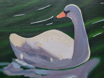 acrylic_(material) ambiguous_gender beak feathers feral lake not_furry orange_beak outside reflection ripples solo swimming water white_body white_feathers lunarpanda8686 anatid anseriform anserine avian bird swan acrylic_painting_(artwork) hi_res painting_(artwork) traditional_media_(artwork) traditional_painting_(artwork)