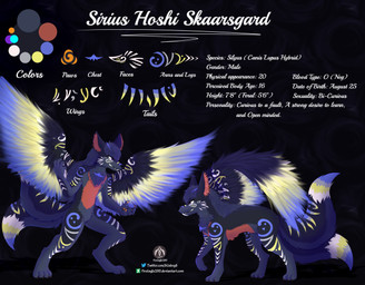 anthro dark_body dark_fur fangs feral fur male multi_tail pawpads solo tail teeth text wings senz sirius_hoshi_skaarsgard canid canine canis hybrid mammal wolf absurd_res english_text hi_res model_sheet url