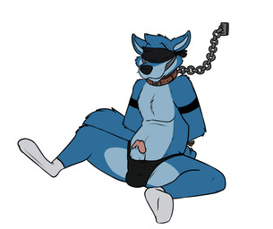 3_toes anthro arm_markings arm_tuft bdsm biped black_markings black_nose blindfold blue_body blue_fur blue_hair blue_tail bondage bound bulge chain chain_leash chained cheek_tuft chest_tuft cloth_gag clothed clothing collar countershade_face countershade_torso countershading elbow_tuft erection eyebrow_piercing eyebrows facial_piercing facial_tuft feet footwear front_view fur gag gagged genitals glans hair hands_behind_back hands_tied head_tuft humanoid_genitalia humanoid_penis leash legwear male markings multicolored_body multicolored_fur partially_clothed penis penis_poking_out piercing pink_penis shoulder_tuft simple_background sitting socks solo spread_legs spreading submissive submissive_male tail toes tuft two_tone_body two_tone_fur underwear white_background rotten_robbie robbie_(rotten_robbie) canid canine canis mammal wolf digital_media_(artwork) flat_colors