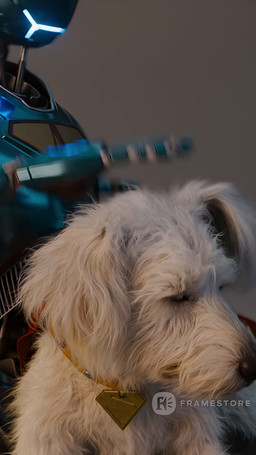 ambiguous_gender black_nose brown_body brown_fur cape clothing collar duo feral flying fur headpat licking licking_viewer machine playing real tongue white_body white_fur framestore superman_(2025_film) krypto canid canine canis domestic_dog humanoid mammal robot robot_humanoid 3d_(artwork) 3d_animation 9:16 animated digital_media_(artwork) hi_res long_playtime official_art sound video