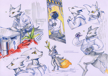 ambiguous_gender anthro big_tail black_body black_fur black_nose box clothed clothing container crate digitigrade dipstick_tail flower fluffy fluffy_tail fur hood_down hood_up hoodie markings orange_sclera pantsless pawpads pink_pawpads plant solo tail tail_markings text topwear ket-dawnatsunset casualties:_unknown albino_(gunsawian) canid canine expie_(gunsawian) gunsawian mammal absurd_res hi_res sketch_page story story_at_source url male_(lore)