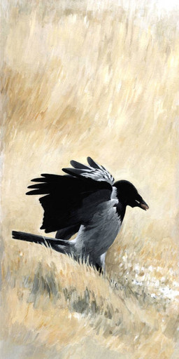 beak black_beak black_body black_feathers feathers feral grass multicolored_body multicolored_feathers plant solo spread_wings two_tone_body two_tone_feathers white_body white_feathers wings renum63 avian bird corvid corvus_(genus) crow hooded_crow oscine passerine 2014 acrylic_painting_(artwork) painting_(artwork) traditional_media_(artwork) traditional_painting_(artwork)