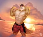 2018 abs absurd_res anthro artist_logo beach biceps black_hair canid canine canis clothed clothing dated detailed_background digital_media_(artwork) domestic_dog evening eyewear eyewear_on_head flexing fur hair hi_res logo male mammal muscular muscular_anthro muscular_male outside partially_submerged pecs raytig12 red_clothing red_eyes red_lens red_swimming_trunks red_swimwear seaside shirtless sky solo summer sunglasses sunglasses_on_head sunset swimming_trunks swimwear topless yellow_body yellow_fur zale_gallagher