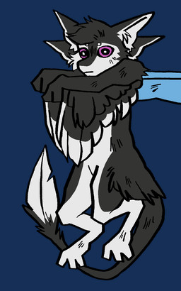 3_fingers 3_toes 4_ears ambiguous/ambiguous ambiguous_gender anthro black_body black_feathers black_fur black_sclera chest_tuft chibi countershading digitigrade duo faceless_ambiguous faceless_character feathered_wings feathers feet fingers fur hair held_by_hands held_up holding_character long_tail midair multi_ear nude silly silly_face simple_background size_difference smaller_ambiguous solo_focus tail toes transparent_background tuft tufted_fur white_body white_feathers white_fur winged_arms wings fenya208 fyr_(fenrir784) ych_(character) avali avian bird 2026 alpha_channel colored digital_drawing_(artwork) digital_media_(artwork) full-length_portrait hi_res meme portrait restricted_palette