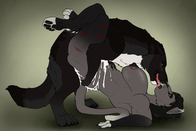 ambiguous_penetration anthro anthro_on_feral anthro_penetrated bestiality between_legs bite_mark black_body black_fur black_hair black_nipples black_nose black_pawpads bodily_fluids breasts butt cum cum_on_belly cum_on_body cum_on_butt dipstick_ears duo ear_markings excessive_cum excessive_genital_fluids fangs female female_anthro female_on_feral female_penetrated feral feral_penetrating feral_penetrating_anthro french_kissing fur genital_fluids grey_body grey_fur hair kissing licking_tongue male male/female male_feral male_penetrating male_penetrating_female multicolored_ears nipples nude obscured_penetration open_mouth pawpads penetration penile penile_penetration pink_tongue scratches sex side_view simple_background teeth tongue white_body white_fur yellow_eyes killthe_demon echo_(wolffylegend) miasma_velenosa_(miasmium) canid canine felid mammal hi_res