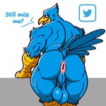 absurd_res anthro anus avian backsack balls beak big_balls big_butt bird blue_body blue_feathers butt feathers genitals hi_res male meme muscular muscular_anthro muscular_male perineum posstype presenting presenting_hindquarters saggy_balls scuted_arms scutes smile solo tail tail_feathers tweetfur twitter uneven_balls