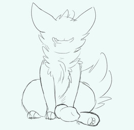 animal_genitalia animal_penis bodily_fluids canine_genitalia canine_penis drooling erection feral fur genitals hair knot male open_mouth pawpads paws penis saliva simple_background sitting smile solo teeth backsash canid canine canis mammal wolf 2018 digital_media_(artwork) hi_res sketch