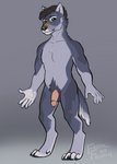 5_fingers 5_toes anthro athletic athletic_anthro athletic_male balls claws digitigrade feet fingers genitals grey_body humanoid_genitalia humanoid_penis male nude paws penis solo standing toes feralfelony gray_(feralfelony) canid canine canis mammal wolf full-length_portrait hi_res portrait