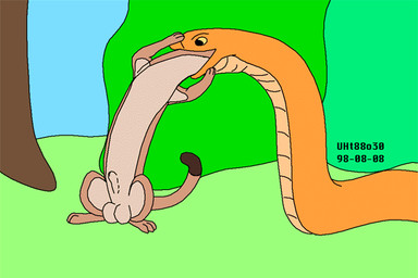 animal_genitalia balls brown_body brown_fur duo feral feral_pred feral_prey forced fur genitals head_first head_in_mouth larger_pred male male/male male_pred male_prey nude_male nude_pred nude_prey open_mouth oral_vore orange_body outside plant sheath size_difference sky tail tan_body tan_fur tree unwilling_prey vore willing_pred yellow_eyes urbanhermit mammal mustelid musteline reptile scalie snake true_musteline weasel 1998 3:2 colored dated