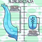 clitoris egg female genitals male ovipositor pattern_background pussy simple_background slime urethra zero_pictured negativskill alien goo_creature monster