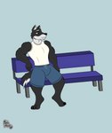 5_fingers anthro bench black_body black_claws black_fur black_nose bottomwear brown_eyes bulge claws clothing eyebrows fingers fluffy fluffy_tail fur looking_away male muscular muscular_male paws shirt shorts simple_background simple_coloring sitting smile solo tail tank_top topwear white_body white_fur chris_monty christopher_montgomery canid canine canis domestic_dog husky mammal nordic_sled_dog spitz absurd_res hi_res signature