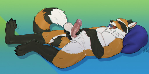 after_masturbation after_orgasm anthro balls black_body black_fur bodily_fluids circumcised circumcision_scar cum cum_on_balls cum_on_chest cum_on_penis cum_on_self erection facial_markings fur genital_fluids genital_scar genitals gloves_(marking) head_markings humanoid_genitalia humanoid_penis leg_markings lying male male_anthro markings mask_(marking) masturbation neck_tuft nude nude_anthro nude_male on_back open_mouth open_smile orange_body orange_fur penis pillow ring_(marking) ringed_tail scar simple_background slightly_chubby slightly_chubby_anthro slightly_chubby_male smile socks_(marking) solo striped_markings striped_tail stripes tail tail_markings teeth tongue tongue_out tuft white_body white_fur homogenousrule rowan_(rowan_foxcoon) canid canine fox hybrid mammal procyonid raccoon 2025 hi_res