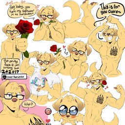 abs anthro biceps blush clothing crop_top eyewear eyewear_only flexing flexing_bicep flexing_both_biceps flower flower_in_mouth fur giving_flower glasses glasses_only grin heart_symbol male multiple_poses muscular muscular_anthro muscular_male nude pecs plant pose rose_(flower) rose_in_mouth seductive shirt smile solo tail tail_motion tailwag tattoo text topwear wearing_glasses yellow_body yellow_fur sketchtablet cover_them_up_slut fototeta labradork bird_dog canid canine canis domestic_dog hunting_dog labrador mammal retriever 1:1 english_text hi_res sketch_page
