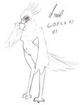 annoyed anthro coffee_cup container cup female looking_at_viewer sipping solo envyblacksun ariel_(envyblacksun) accipitriform avian bird secretary_bird absurd_res hi_res