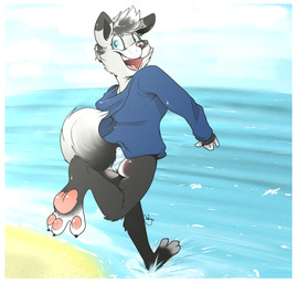 anthro beach black_body black_fur black_hair blue_eyes blush border butt claws clothed clothing cloud curling_toes detailed_background feet female fur hair hindpaw hoodie looking_at_viewer looking_back multicolored_body multicolored_fur multicolored_hair open_mouth outside panties partially_clothed pawpads paws running sand sea seaside sky smile solo sweater swimwear teeth toe_claws tongue topwear two_tone_body two_tone_fur two_tone_hair underwear water white_body white_border white_fur white_hair backsash canid canine canis domestic_dog mammal 2015 absurd_res digital_media_(artwork) hi_res shaded